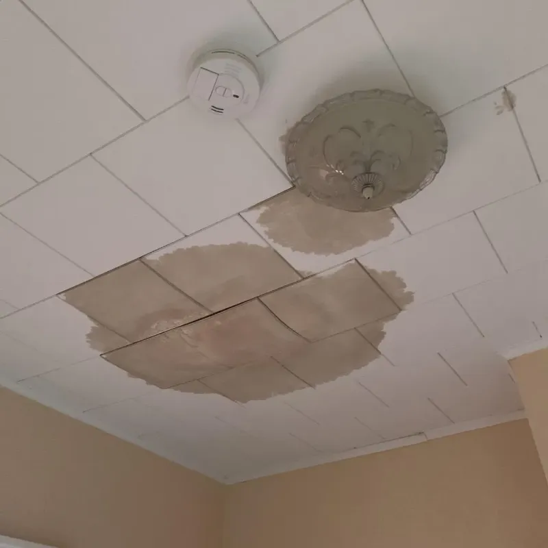 Ceiling Water Damage Repair in Chester, VA