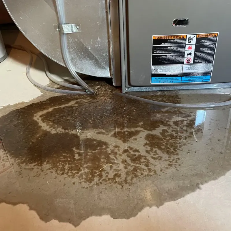 Pipe Burst and Leak Restoration in Chester, VA