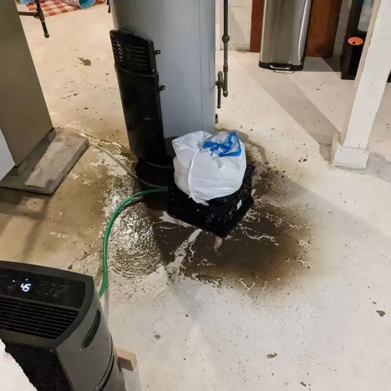 Sewage Backup Cleanup Service in Chester, VA